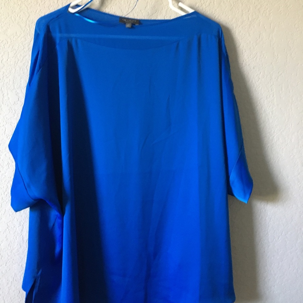 The Limited beautiful silky top